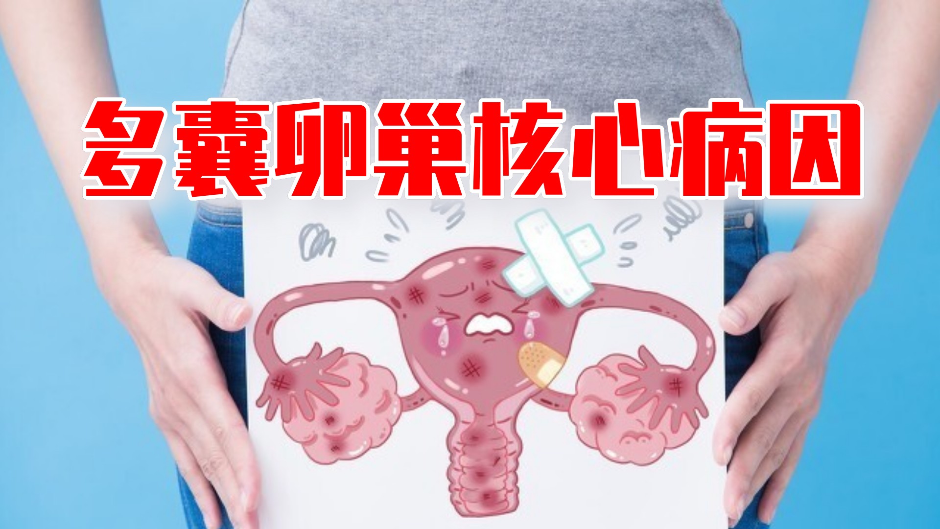 瑞雨生物-卵巢 HE_上海瑞雨生物科技有限公司